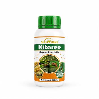 KITAREE 