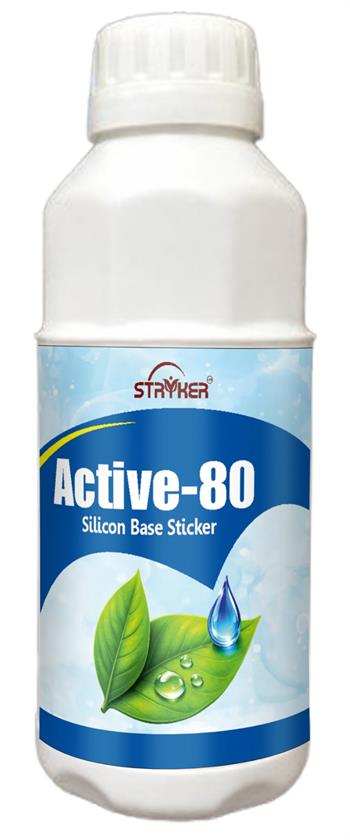 ACTIVE- 80